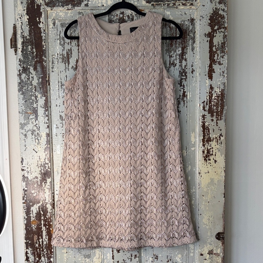 Scarlett  Mini Dress in Silver & Champagne Lace